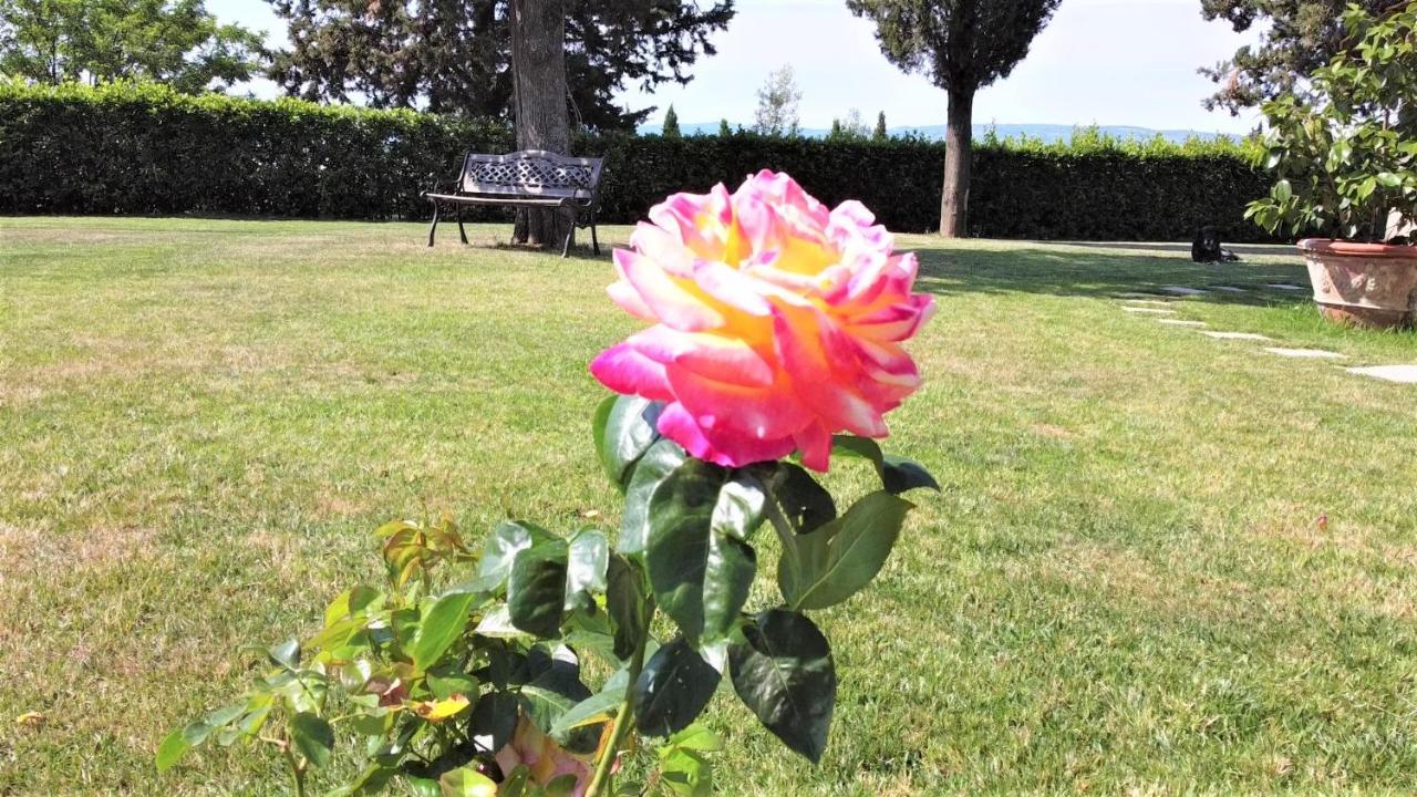 Tenuta Barbadoro Agriturismo Apartment Montespertoli Exterior foto